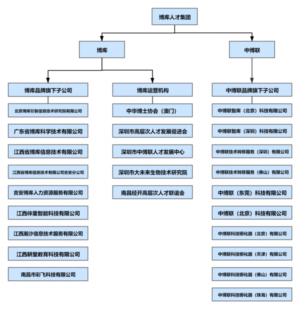 公司 BPM 项目组织结构图.png